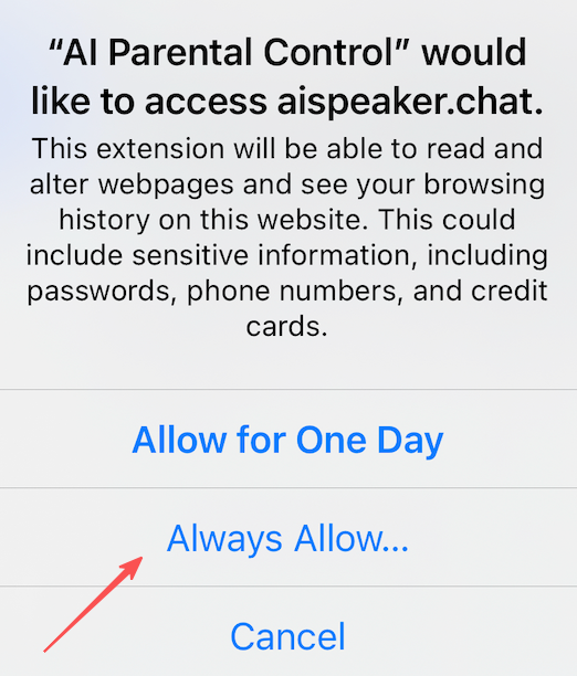 Click "Always Allow..." to authorize the extension